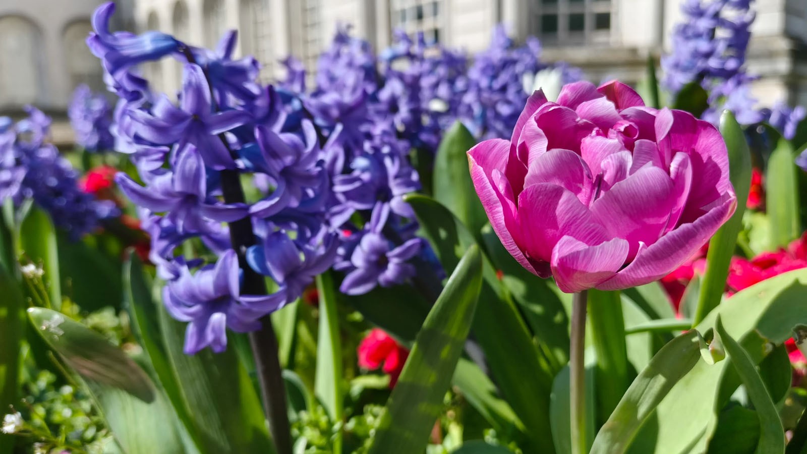 گوشی موبايل تکنو مدل Camon 40 ظرفیت 256 گیگابایت رم 8 گیگابایت